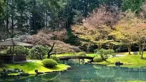 禅意庭院一定要用苔藓吗,禅意苔藓微景观制作视频