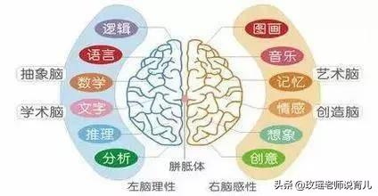 孩子是左撇子怎么办？需要纠正吗？看看孩子的“优势半球”再决定