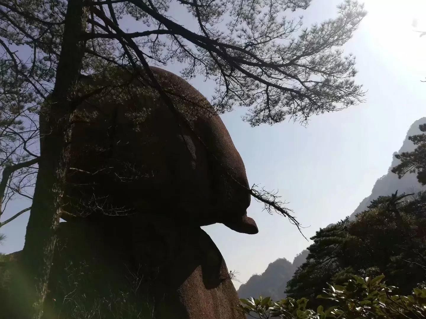 齐云山三清山四大道教名山,中国三清山视频