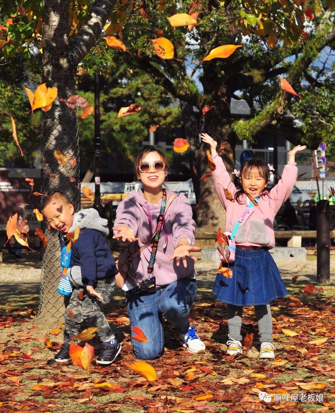 京都和大阪地理位置,京都奈良大阪位置
