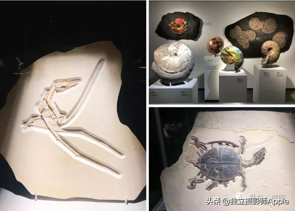 请收下这份美好生活攻略,请收下这份旅游攻略