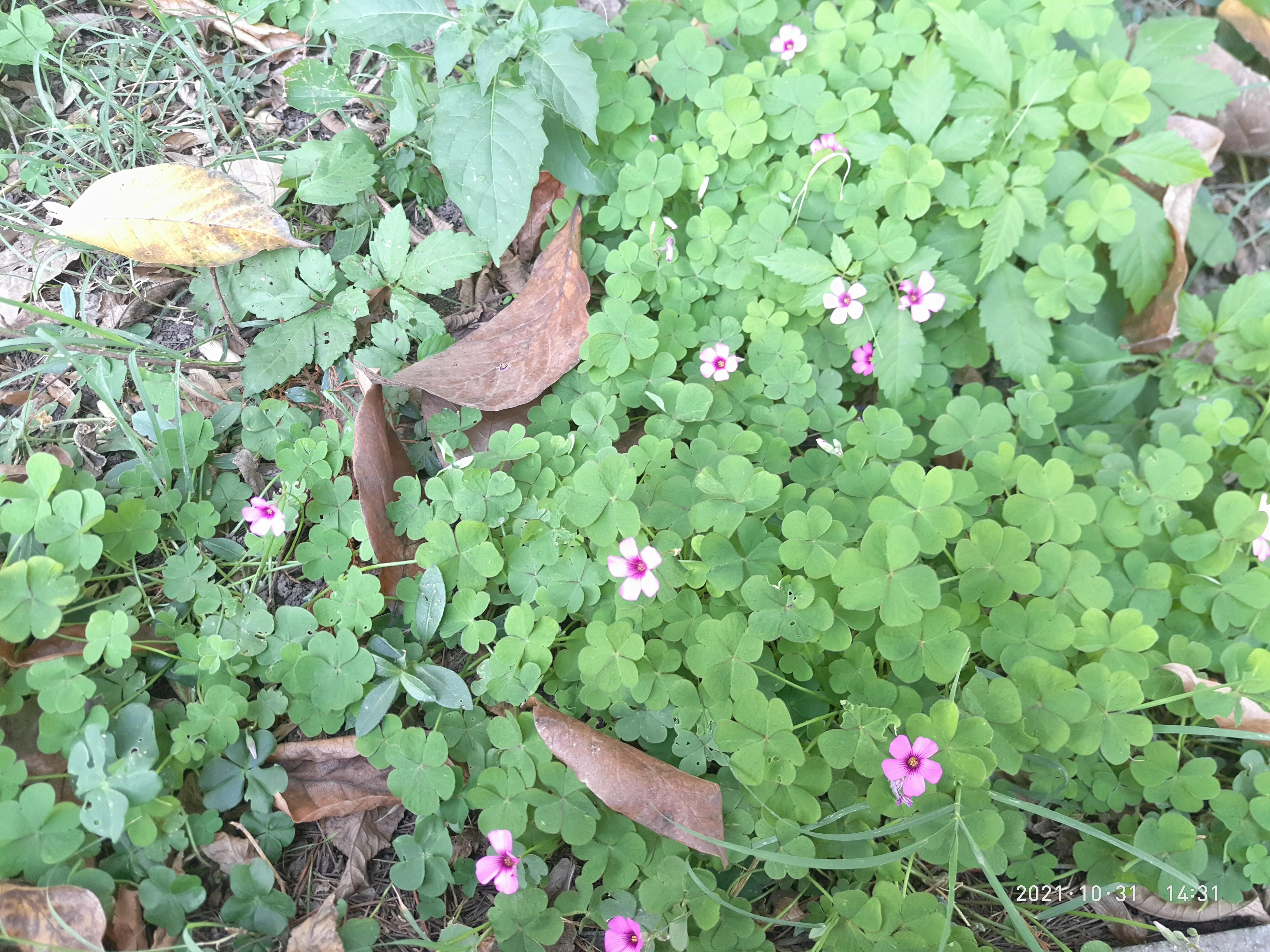 户外长高运动最有效的方法,孩子每天户外运动多久长高