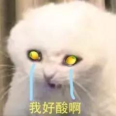 9.9分神番,9.7分综艺