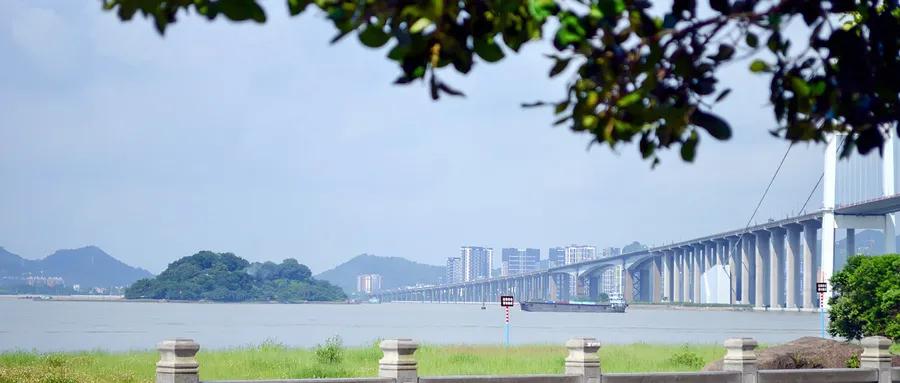 东莞可能成为超大城市吗,东莞市荣升