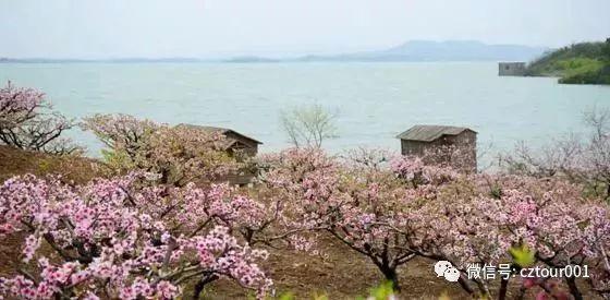 常州周末适合去哪里踏青,清明农庄亲子游攻略