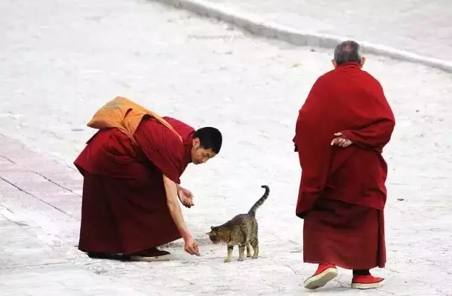 冬天的香格里拉真的很冷,香格里拉冬季旅游