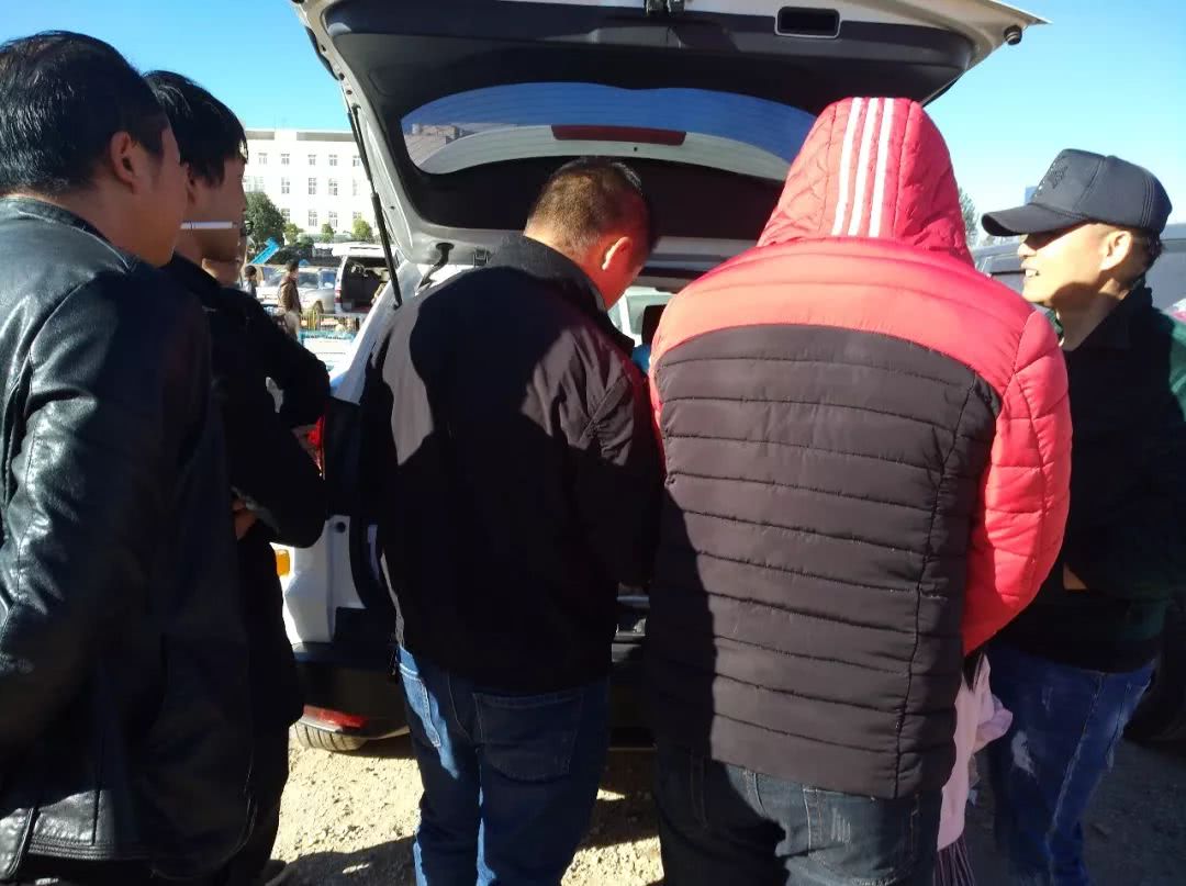 南宁巴哥幼犬出售300元以内,巴哥犬幼犬出售500元同城