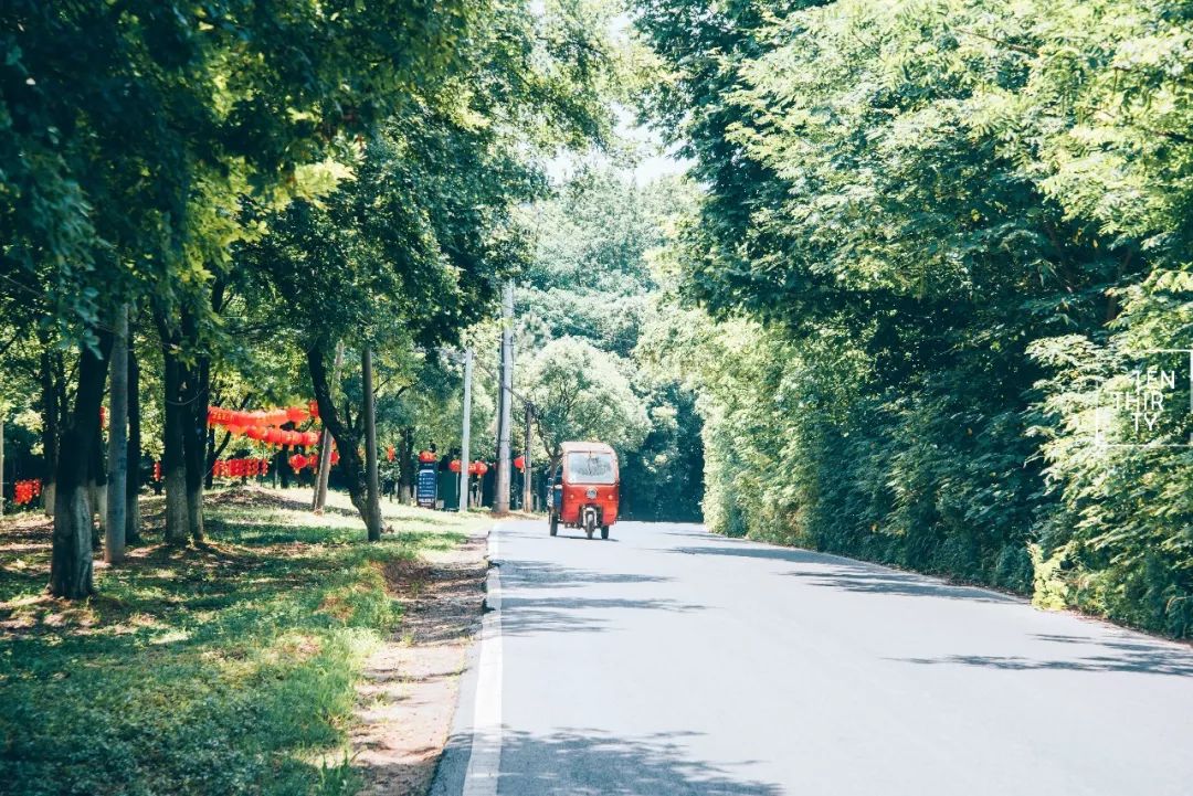 用66张照片回忆2020年,江夏高清图片