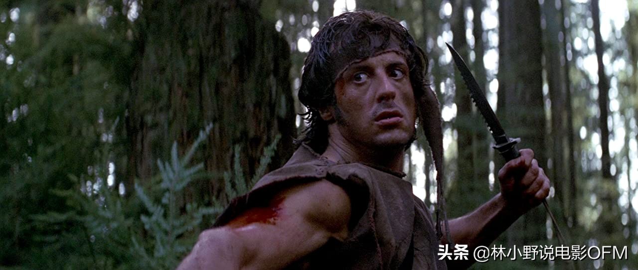 第一滴血是什么题材的电影,第一滴血最后一滴血完整版