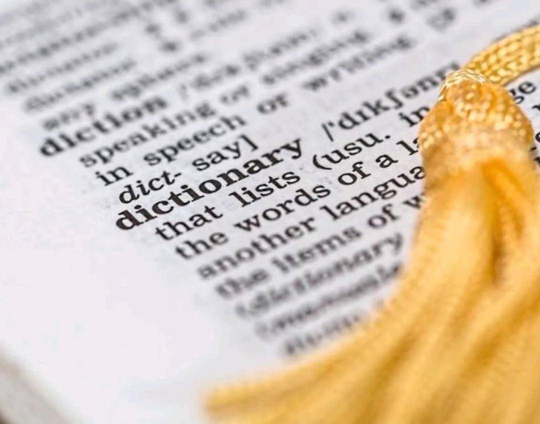 父亲节礼物花,父亲节送什么花好看