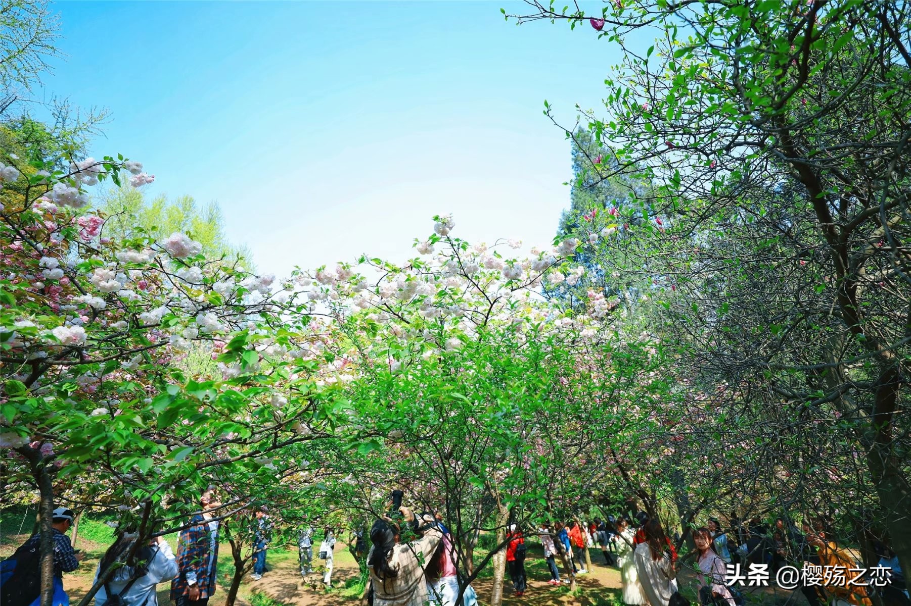 我国唯一建在5a级景区的大学,哪所大学是5a级景区