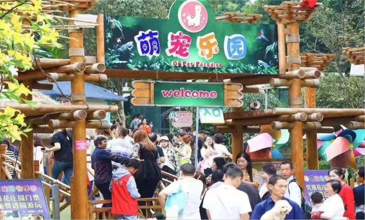 新春打卡重庆香水百合网红艺术节，坐小火车、玩玻璃滑道...
