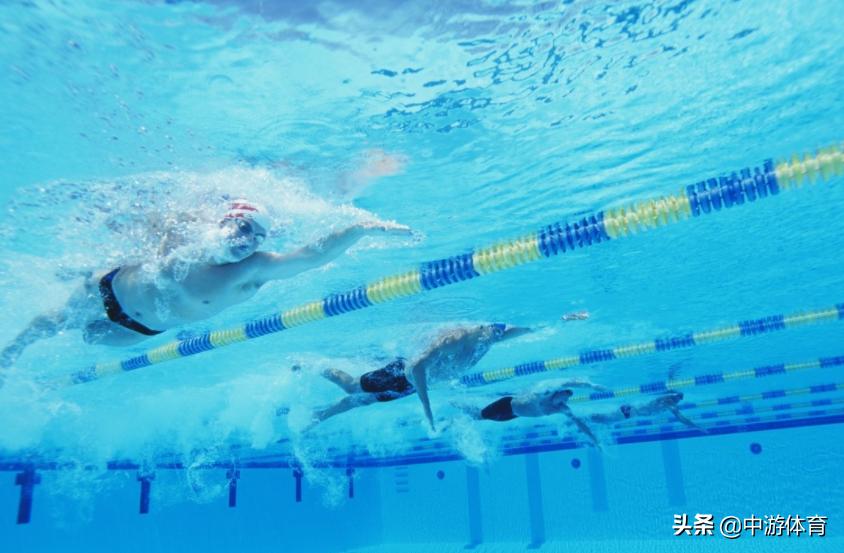 中游体育全浸自由泳,中游体育为什么自由泳打腿不前进