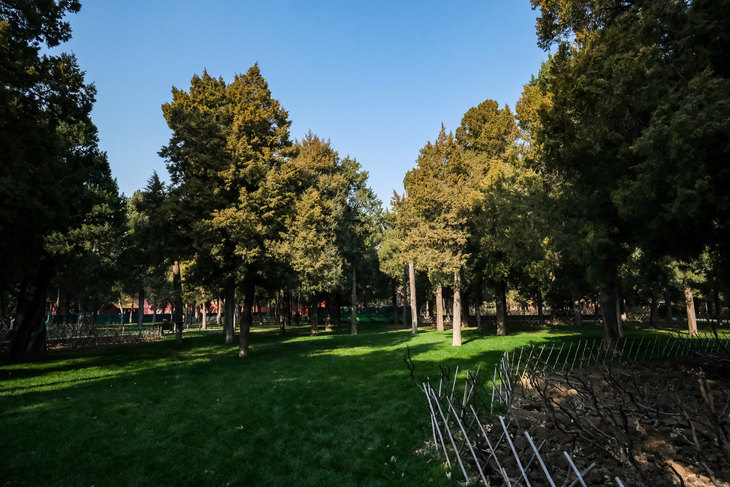 富士xt3配徕卡镜头,富士x-t30二代配什么镜头好