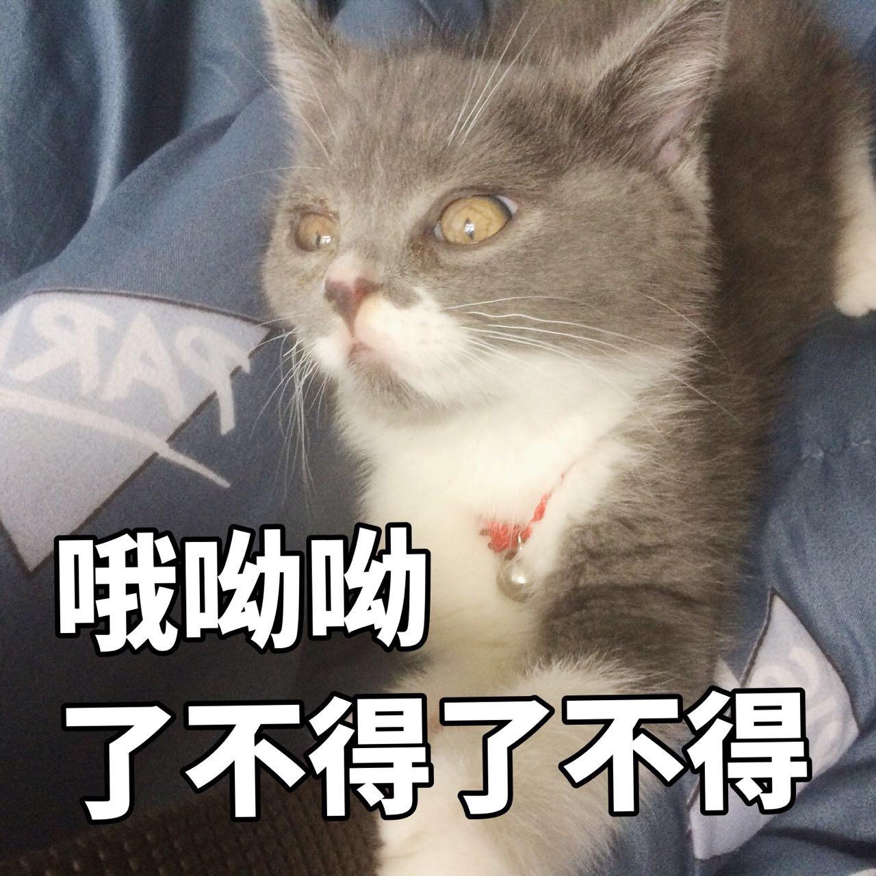 英雄联盟又出新射手英雄？带控制又有净化效果，网友：神似寒冰