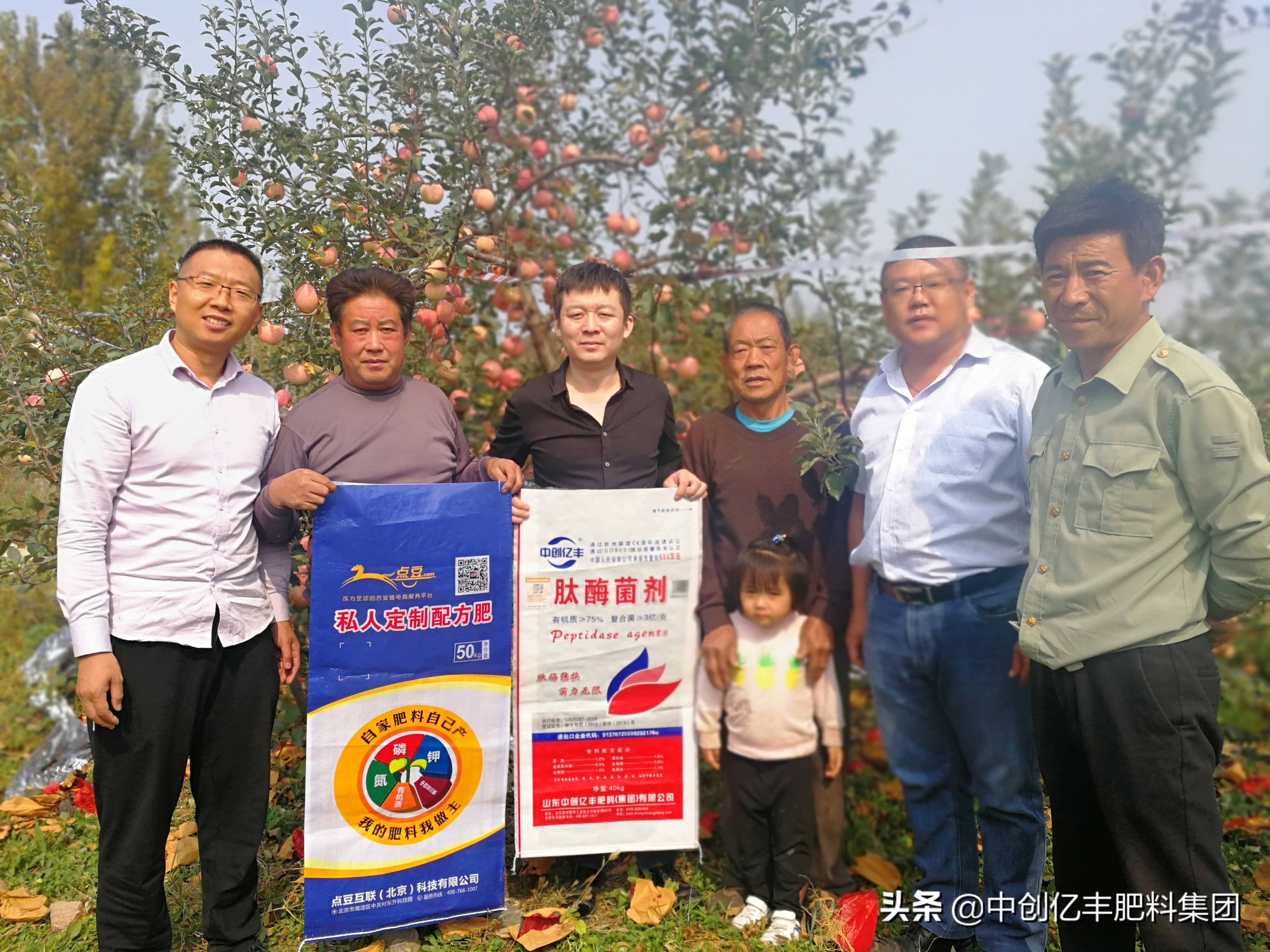 雪莲果的种植方法与管理技术,雪莲果的种植和管理技术