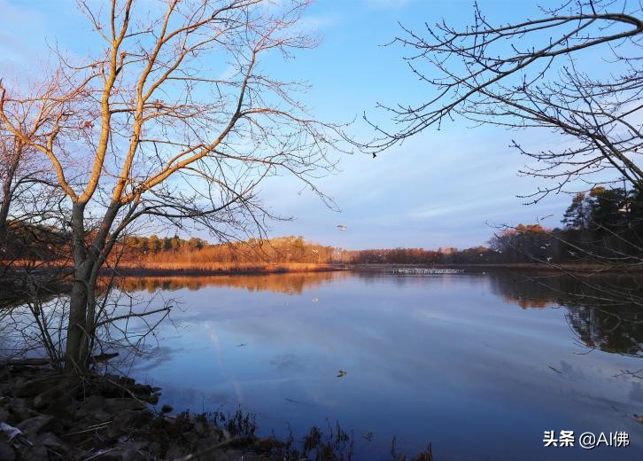 美国各州最宜居地,美国各州最适合居住的地方