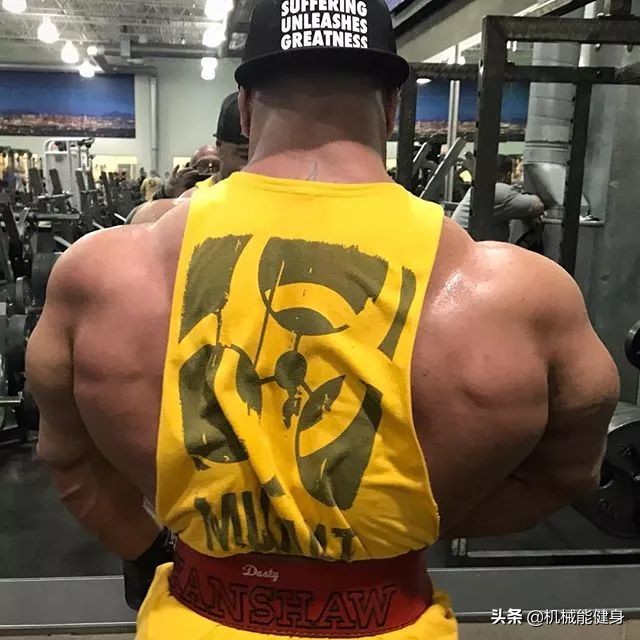 健身美背小背心一体式推荐,在健身房想练腿练哪些