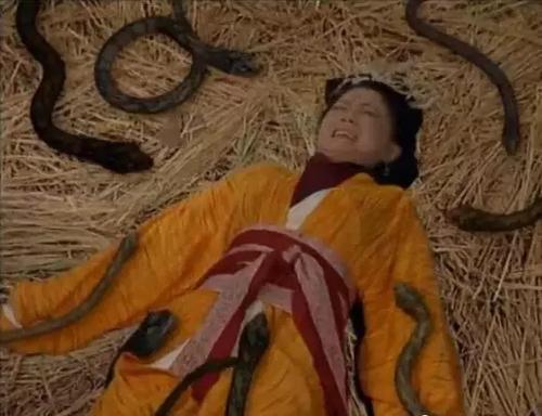 虿盆之刑的解释,虿盆酷刑的原因