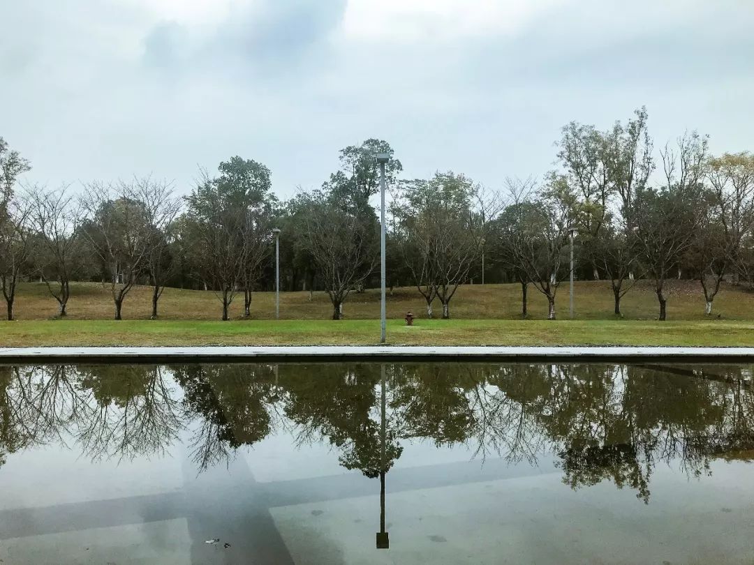 进了图书馆就不想走了的文案,进了图书馆就不想走了