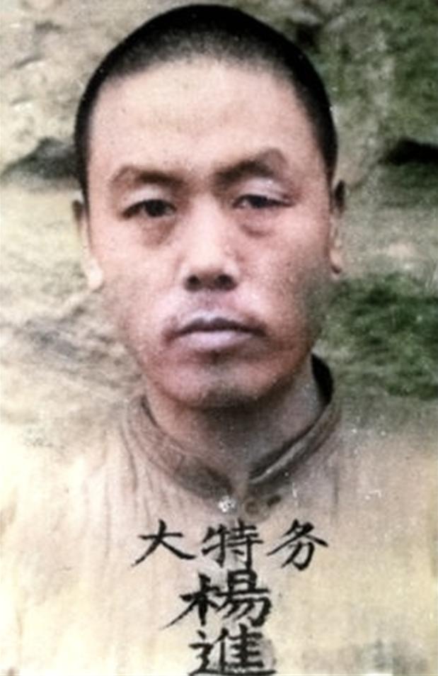 杀害杨虎城的杨进兴，伪装贫农潜伏6年，因戴名表暴露，结局如何