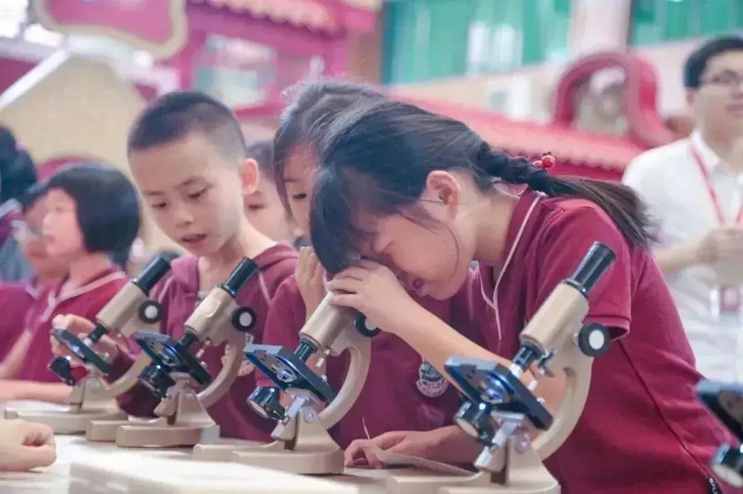 华附外国语学校好吗,华附双语国际学校怎么样