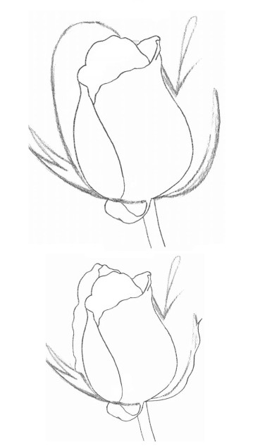 素描玫瑰花高级感的画法,素描玫瑰花画法步骤图