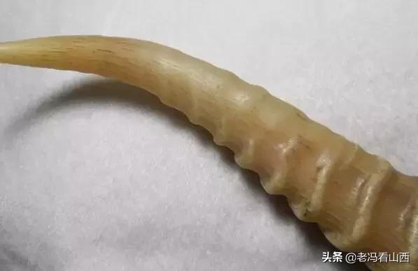 什么文玩不能碰手,这几样文玩千万不要碰