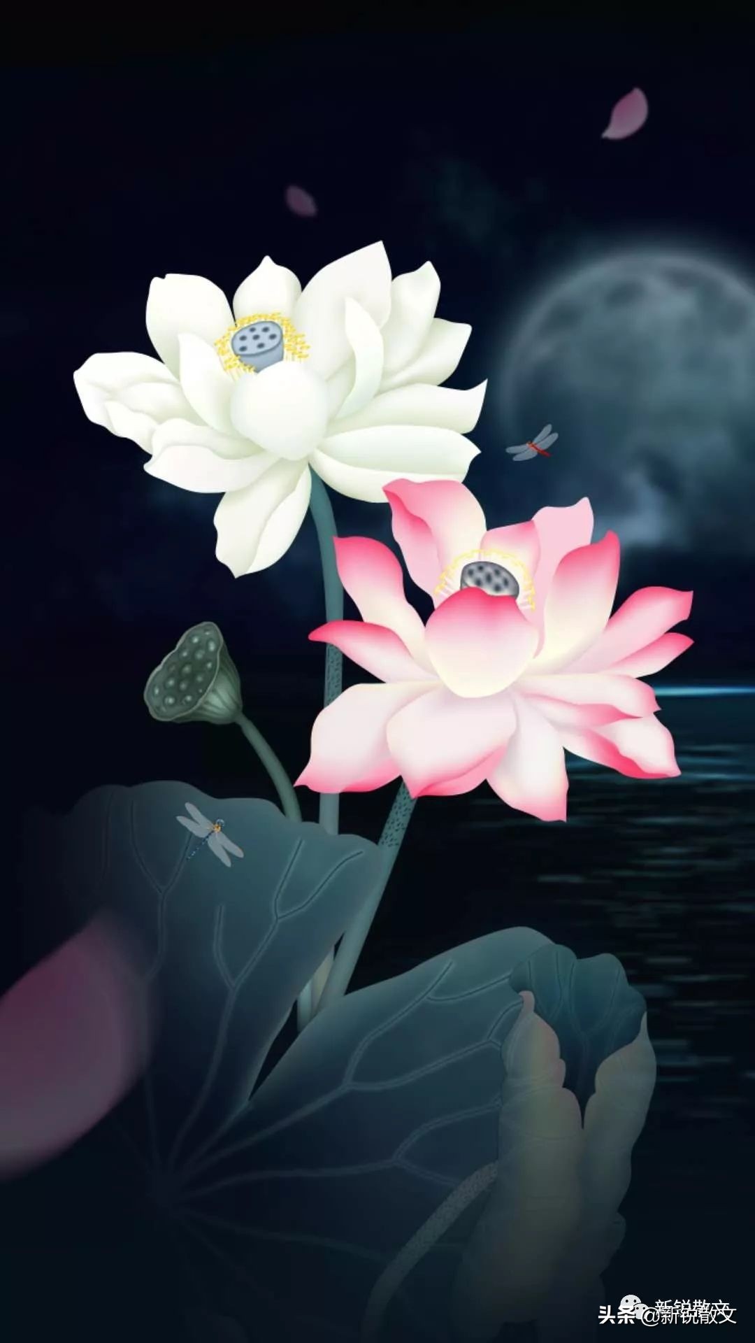 文学雅与俗的相对性,当代文学中雅与俗