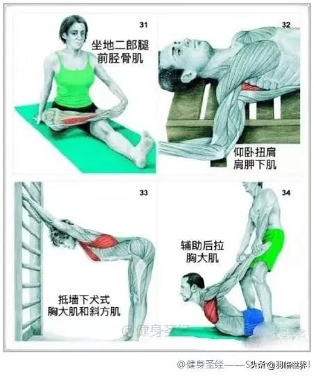 打完球要拉伸有什么作用,松解球怎么松解背部