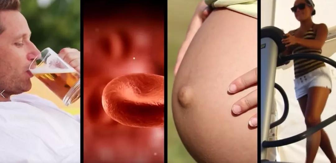 最强科普防蚊知识，从专业角度解读最全灭蚊方案