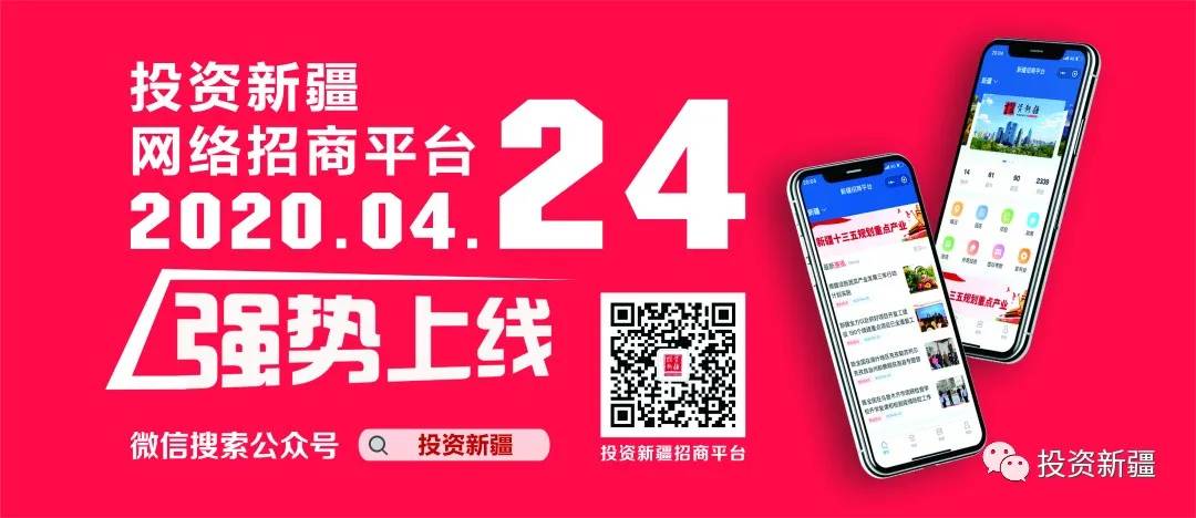 新疆全平台营销项目,一个招商引资平台