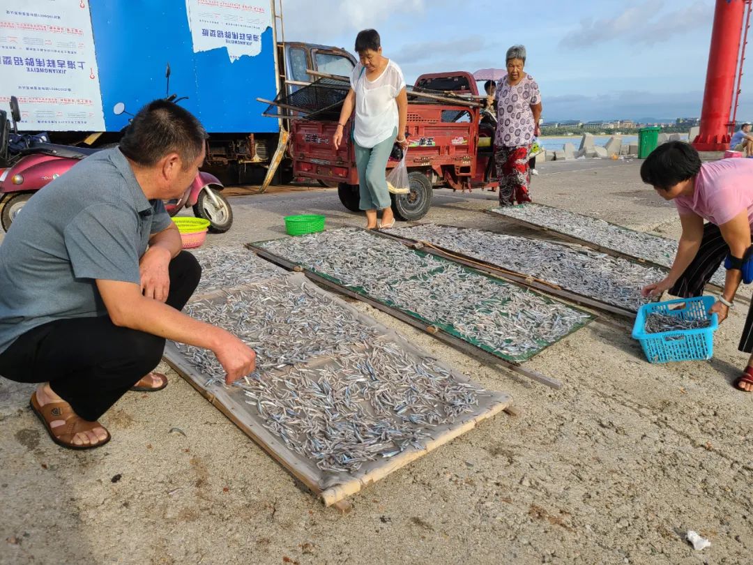 海南之行记录全集,海南之行的记录
