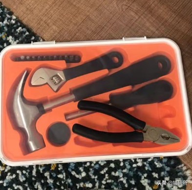 猫咪平替好物推荐,提高猫咪生活质量的几款好物