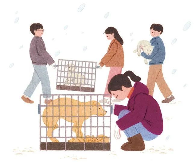 韩国插画家young,韩国插画师leekyuyoung暖心作品