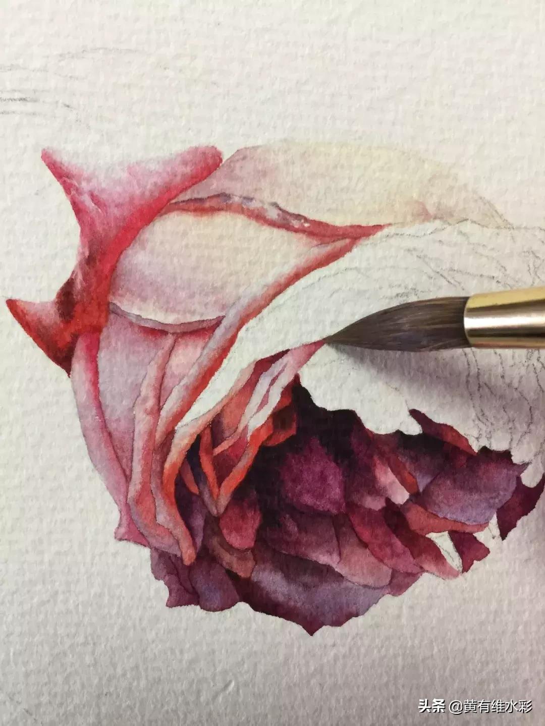 33朵玫瑰制作全过程,英伦花教程