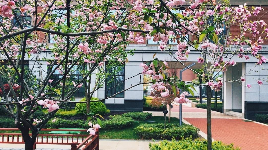 河南省实验学校许昌中学官网,2017许昌实验中学招生