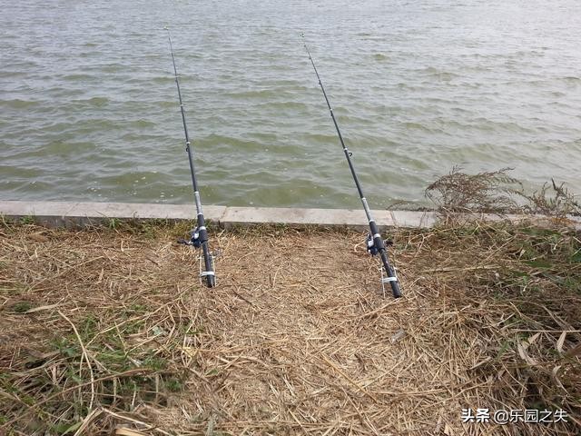 爆炸饵入水就散,爆炸饵入水多久化开好