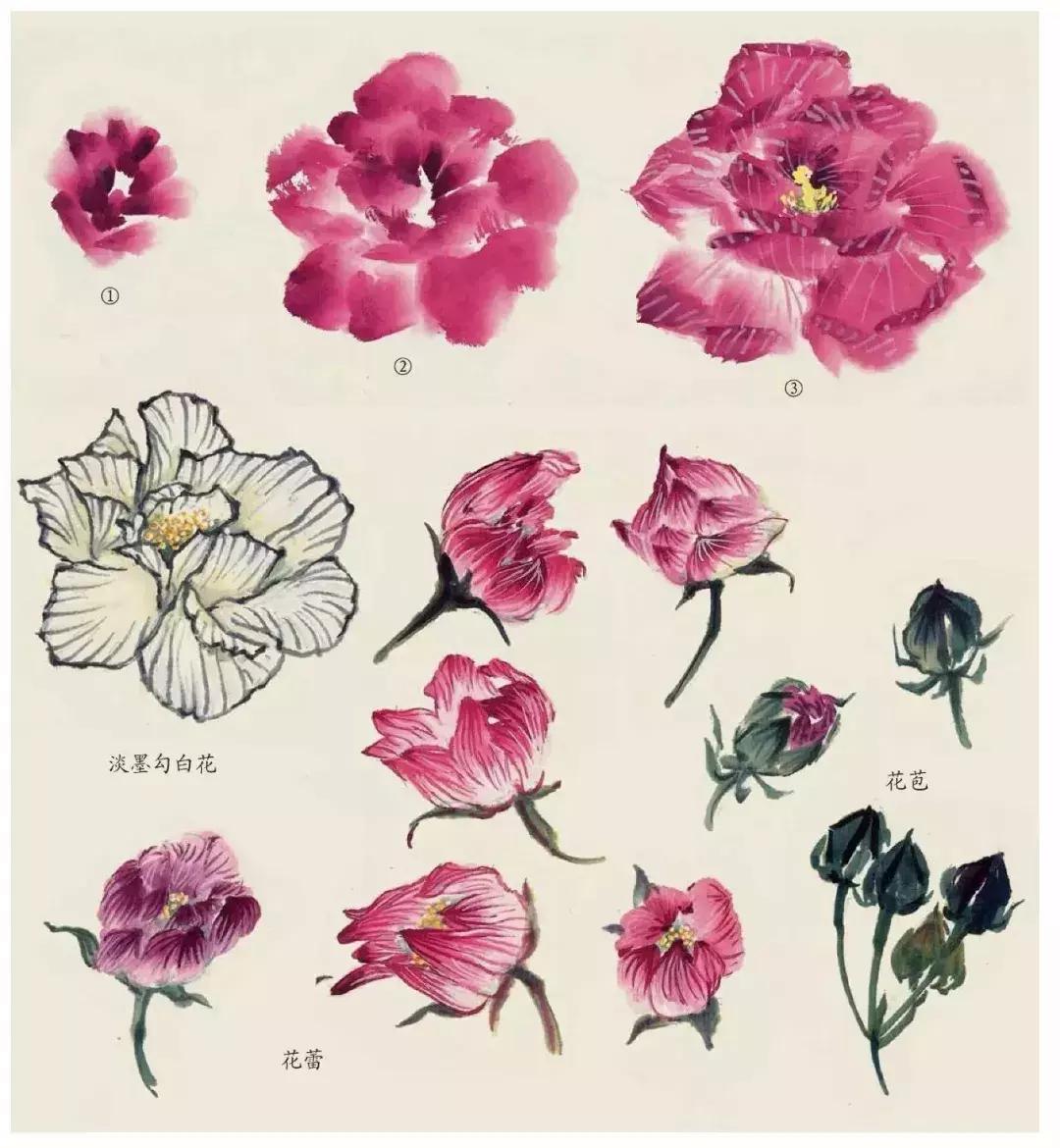 国画中各种花卉的画法,国画花卉画法步骤视频教程