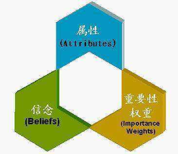 分析消费者行为的模型,十大新消费者洞察报告