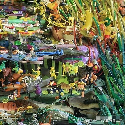 閫忚澶栨寕鐪熷疄浜嬩欢,閫忚澶栨寕鐪熺殑鍋囩殑