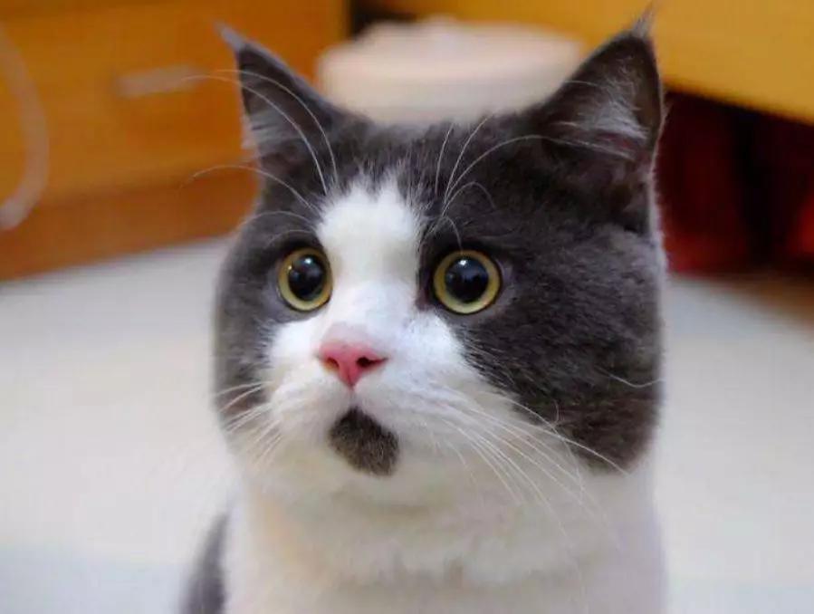 为什么有女朋友了还会出去玩,为啥有女朋友还打游戏