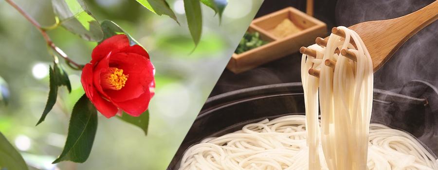 稻庭乌冬面原材料,稻庭乌冬面