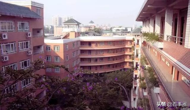 广州芳村，淡看悠然岁月情，认识广州芳村更多