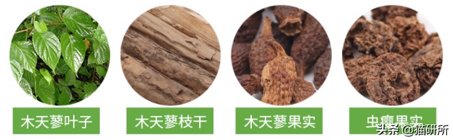 猫咪平替好物推荐,提高猫咪生活质量的几款好物