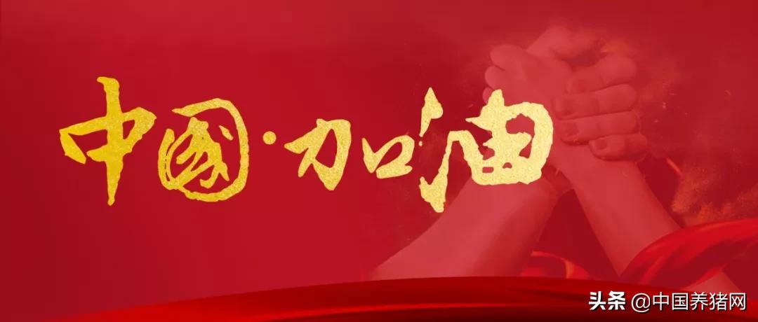 仔猪市场专门卖仔猪,求购150块钱一头仔猪