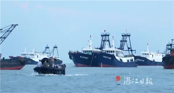 7月份的湛江海边有什么海鲜,湛江开海哪里海鲜便宜