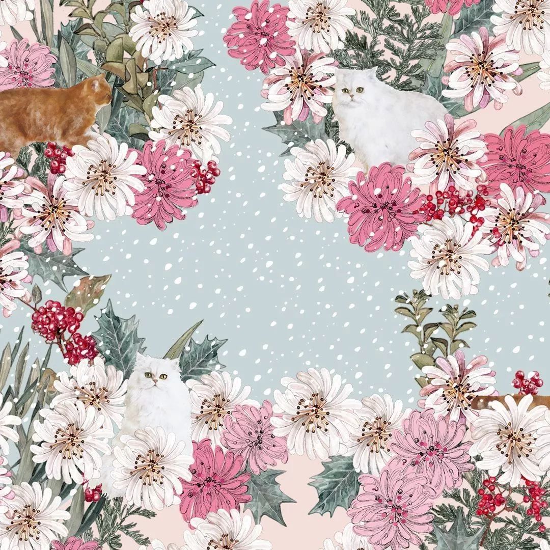 最值的日历礼盒,日历礼盒推荐