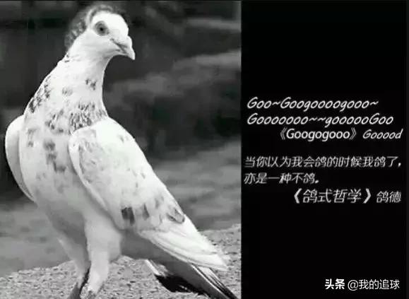 球品与人品,球品见人品是真的吗