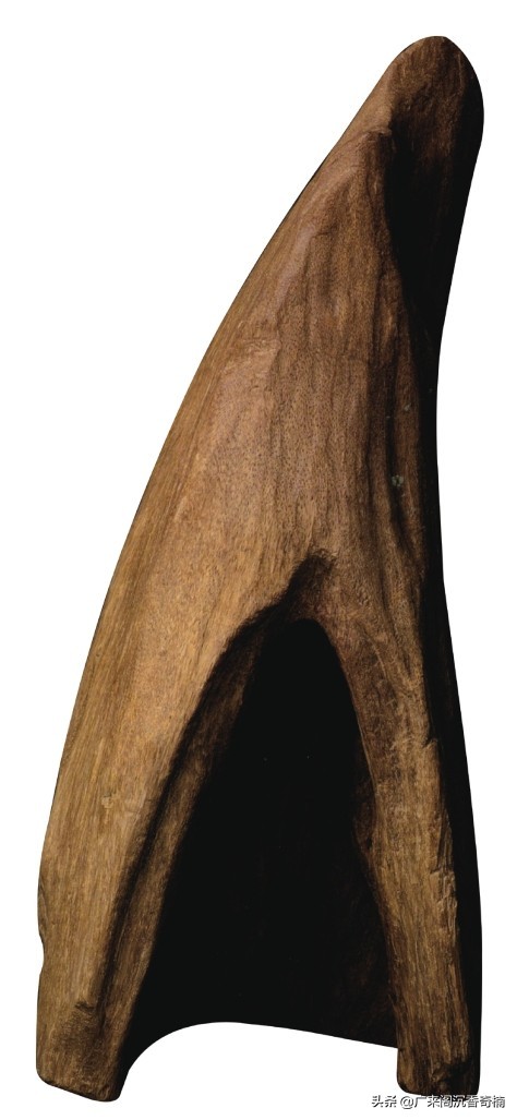 好的沉香具备哪些特点和功效,沉香百科之新手对沉香的问题总结